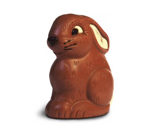 Hase Pauli