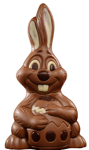 Hase Schnuffi