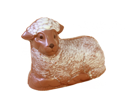Lamm